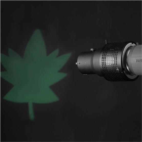 Actual product image Walimex Projection attachment with universal connector