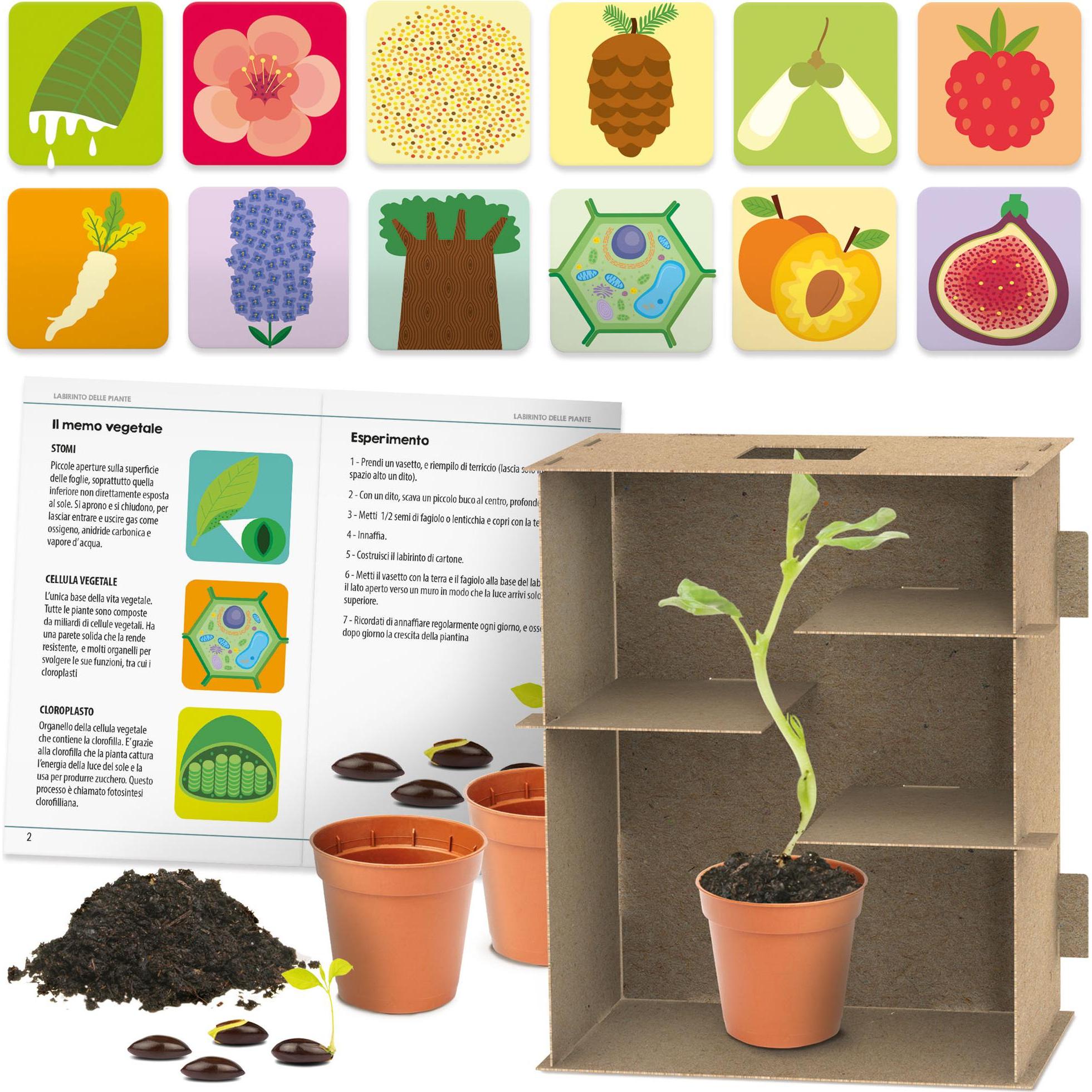 Thumbnail - Headup Games Labirinto delle Piante