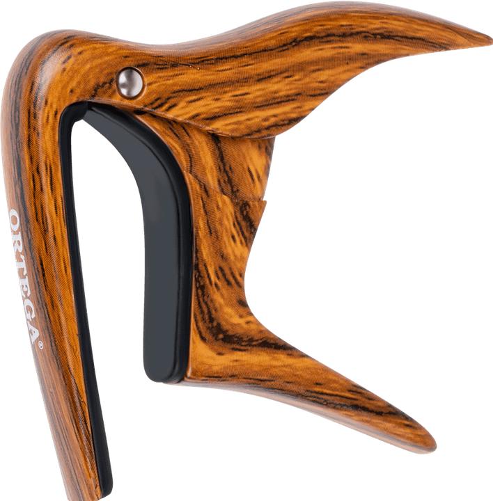Walnuss Design