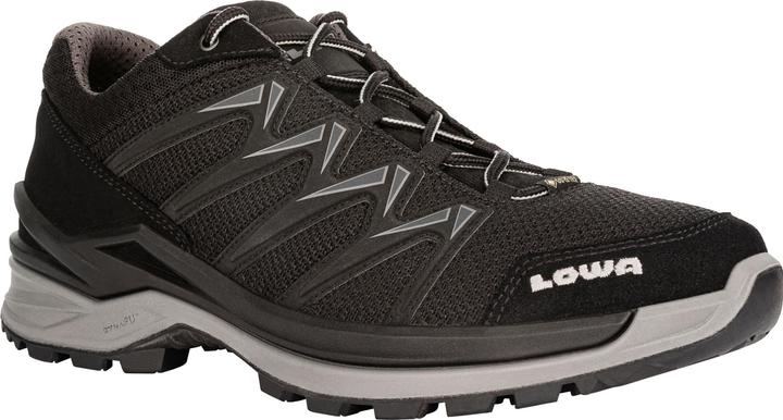 Produktbild Lowa Innox Pro GTX LO (45)