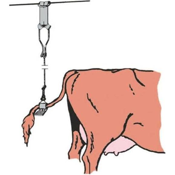 Kerbl Argento Attrezzatura Stalla