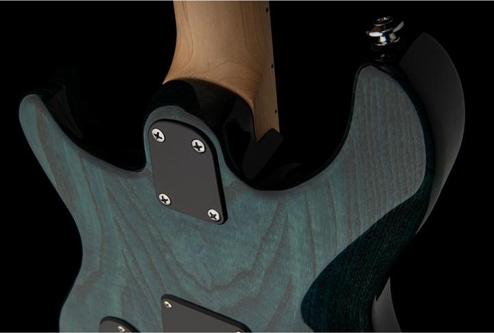 Actual product image PRS Swamp Ash Special (Electric guitar, mahogany, Swamp Ash, Maple)
