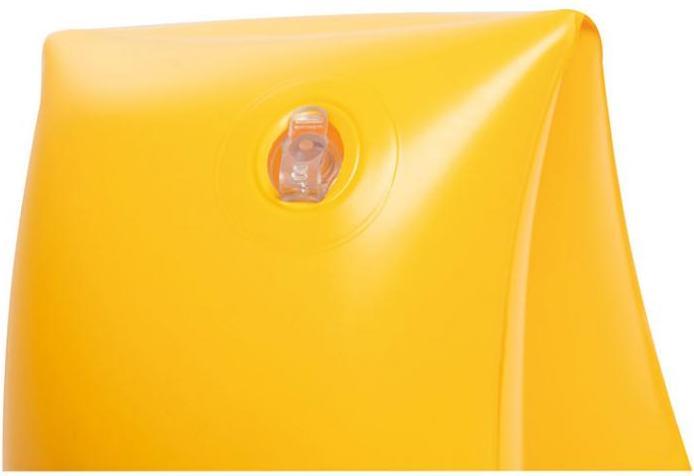 Actual product image Bestway Water wings