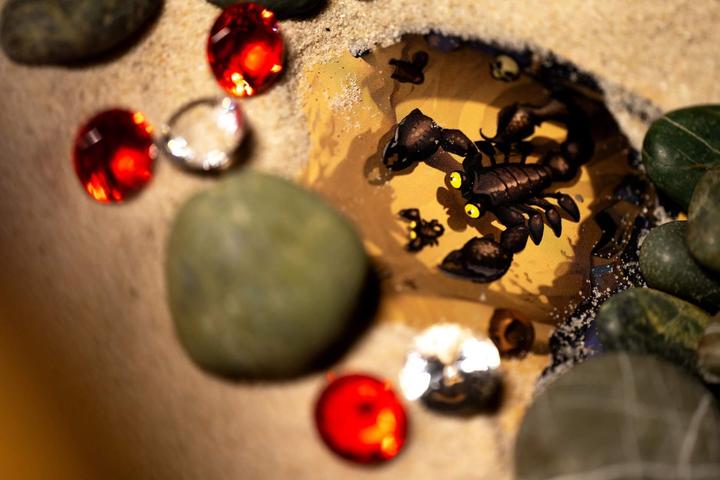 Actual product image Pegasus 57260G - Diamond (DE) (German, 3 - 8 Players)