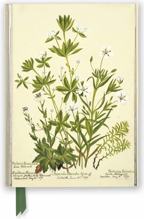 Produktbild RBGE: Charlotte Cowan Pearson: Stitchworts, Woodruff and Pepperwort (Foiled Journal)