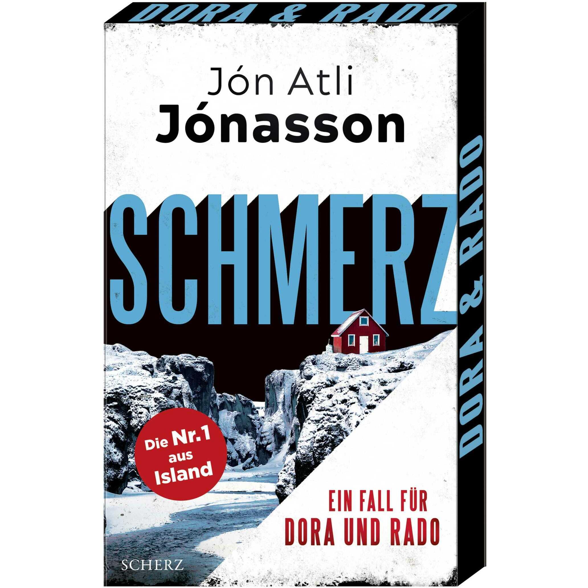 Schmerz, Belletristik von Jön Atli Jönasson