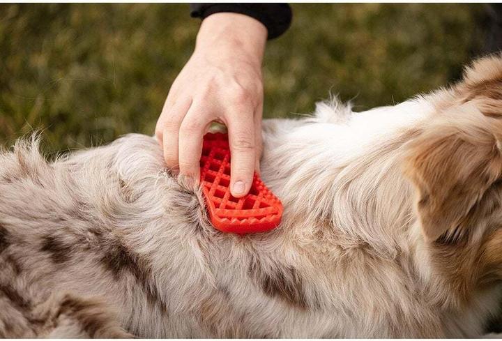 Actual product image Pet+Me Brush (Cat, Dog)