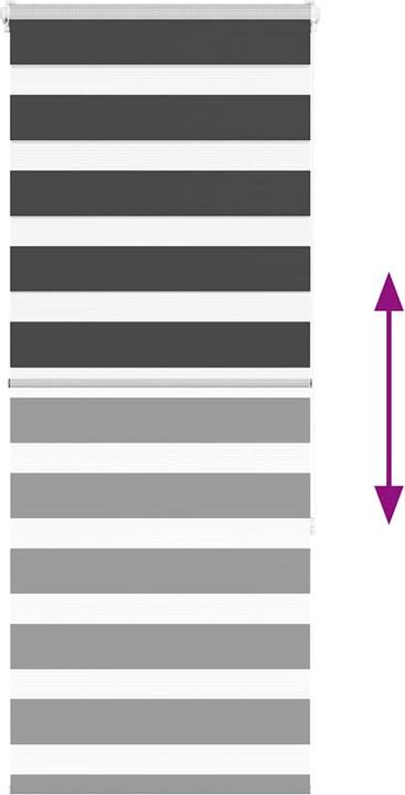 Produktbild vidaXL Zebra-Jalousie (65 x 150 cm)