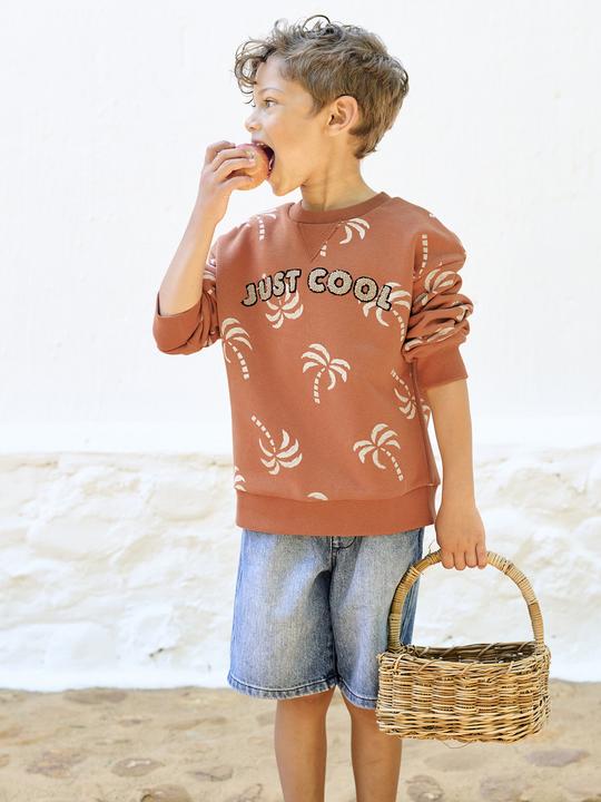 Produktbild Vertbaudet Jungen Sweatshirt mit Frottee-Motiv und Recycling-Polyester (158, 164)
