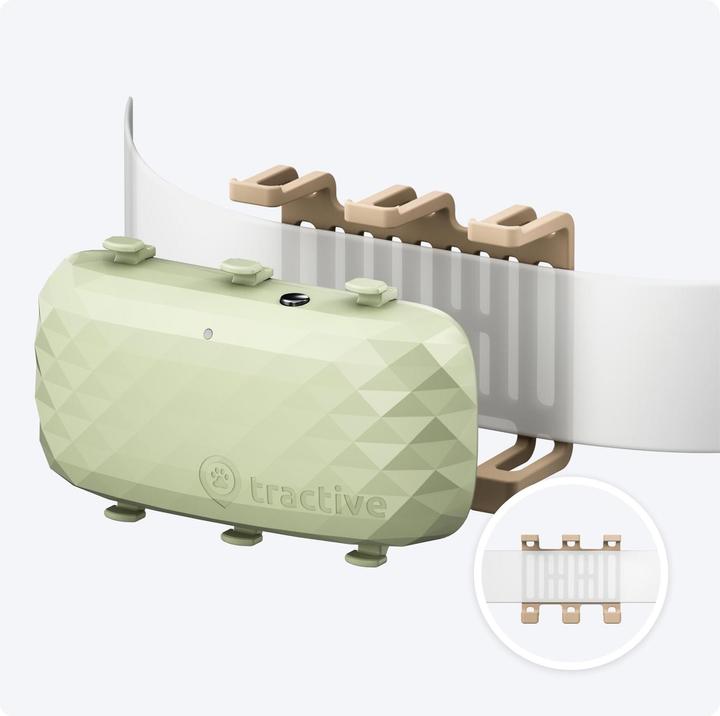 Immagine prodotto Tractive DOG XL - Localizzatore GPS per cani (Cane, Generale)