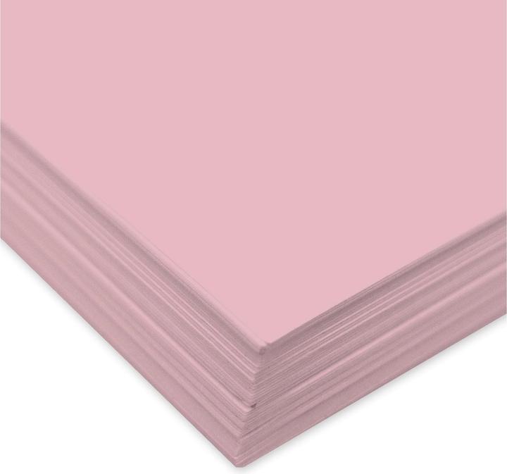 Immagine prodotto Ursus Cartone fotografico 300 g/m2 (300 g/m², 10 x)