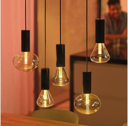 Image du produit Philips Hue White & Color Ambiance Lightguide Giant Edison (E27, 6.80 W, 500 lm, 1 x, G)