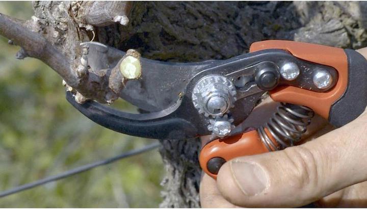 Image du produit Bahco Ciseaux Ergo-Profi, M, 20mm