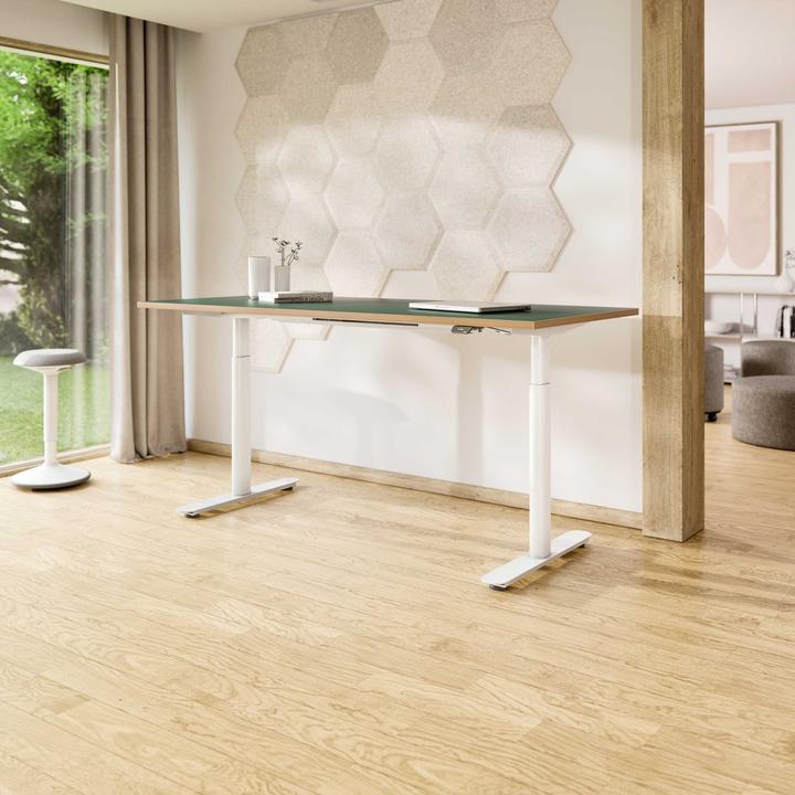 Image du produit ofinto Rise