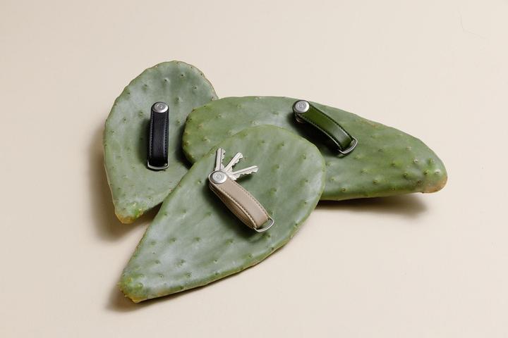 Image du produit Orbitkey Organisateur de clefs cactus