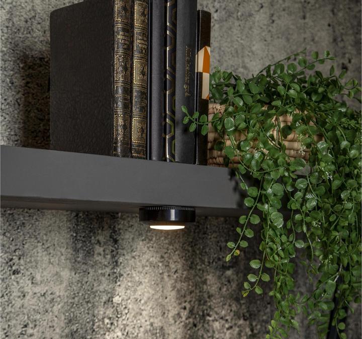 Image du produit Star Trading Pack de 3 LED Nightlight Functional