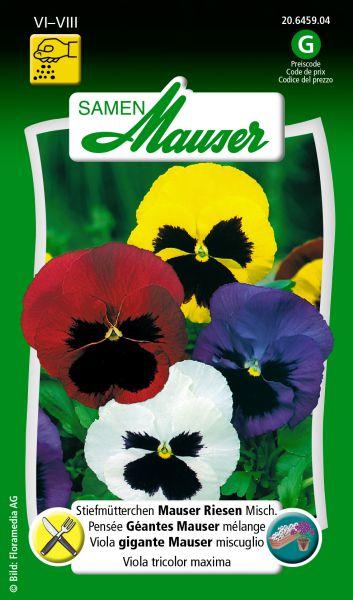Image du produit Samen Mauser Mélange géant de Pansy Mausers (Graines de plantes)