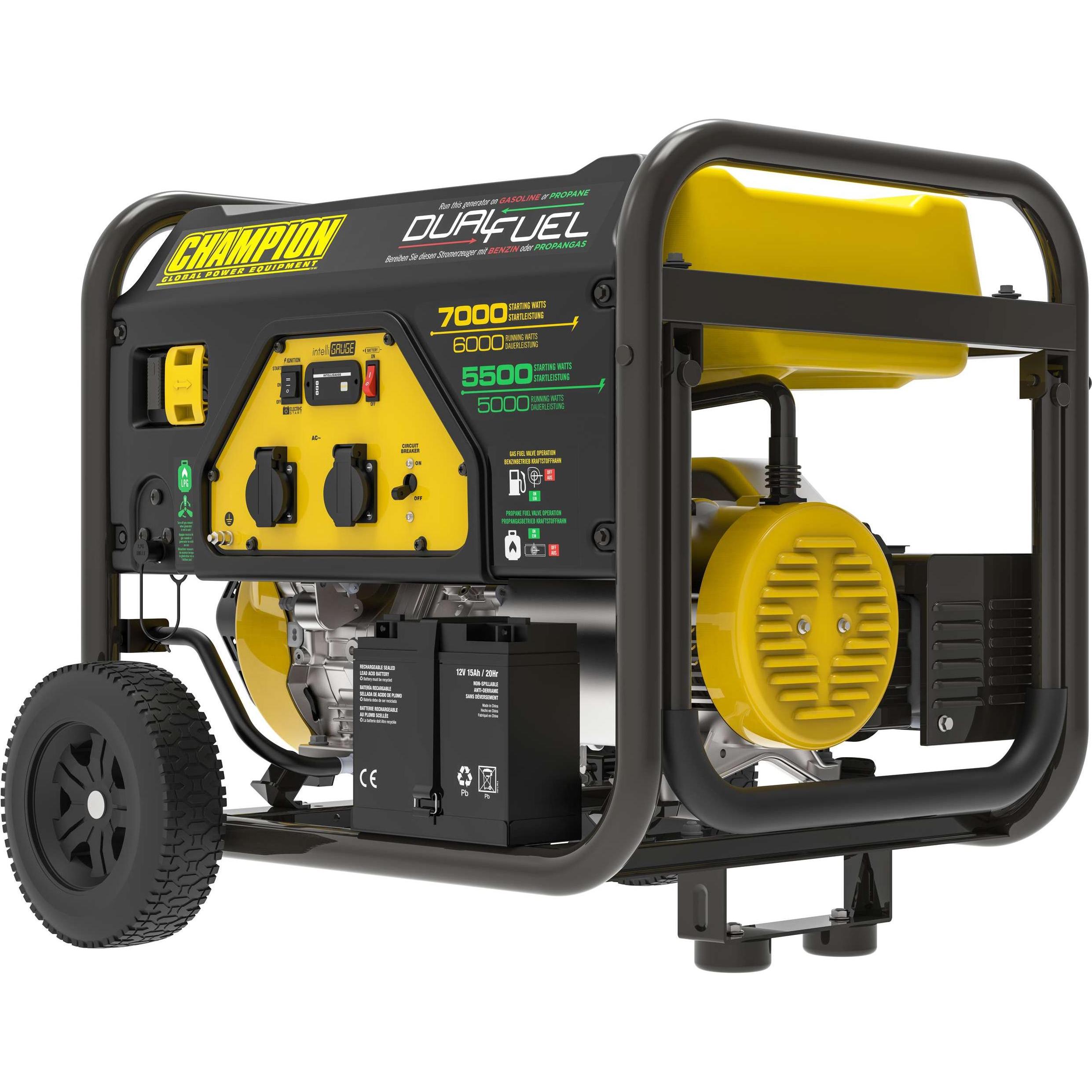 Champion Power Equipment, Stromgenerator, 7000 Watt Dual Fuel LPG/Benzin-Generator (6000 W, 23 l)