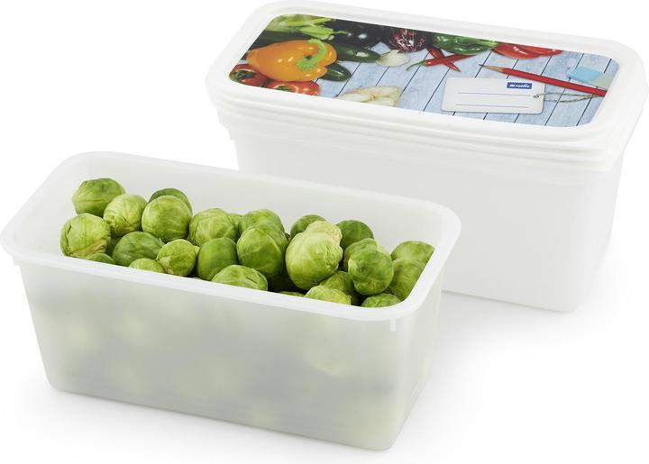 Actual product image Rotho Freezing box (1.50 l)