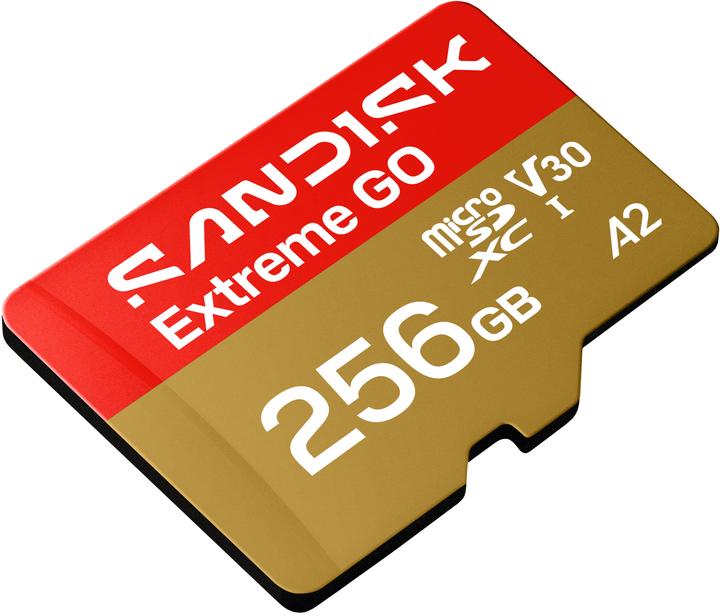 Actual product image SANDISK Extreme Go (256 GB, microSDXC, U3, UHS-I)