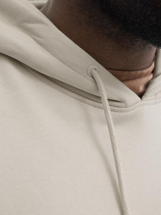 Actual product image Jack & Jones Jjesoho Sweat Hood Noos Pls (6XL)