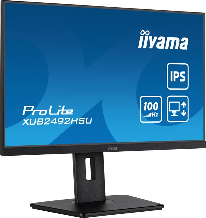 iiyama ProLite XUB2492HSU-B6 (1920 x 1080 pixels, 23.80")