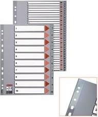 Immagine prodotto Esselte Registro di plastica