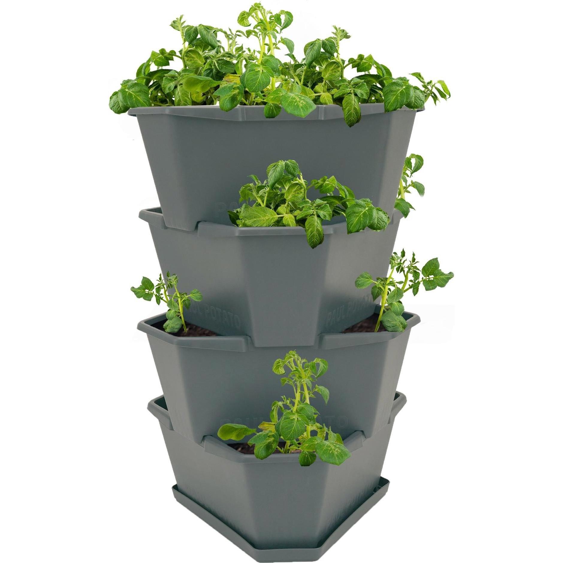 Gusta Garden, Blumentopf, Paul Potato (38.80 cm)