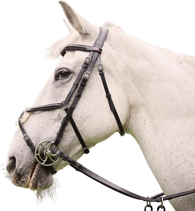 Image du produit - Bride avec rênes pour chevaux EASTWOOD MEXICAN
