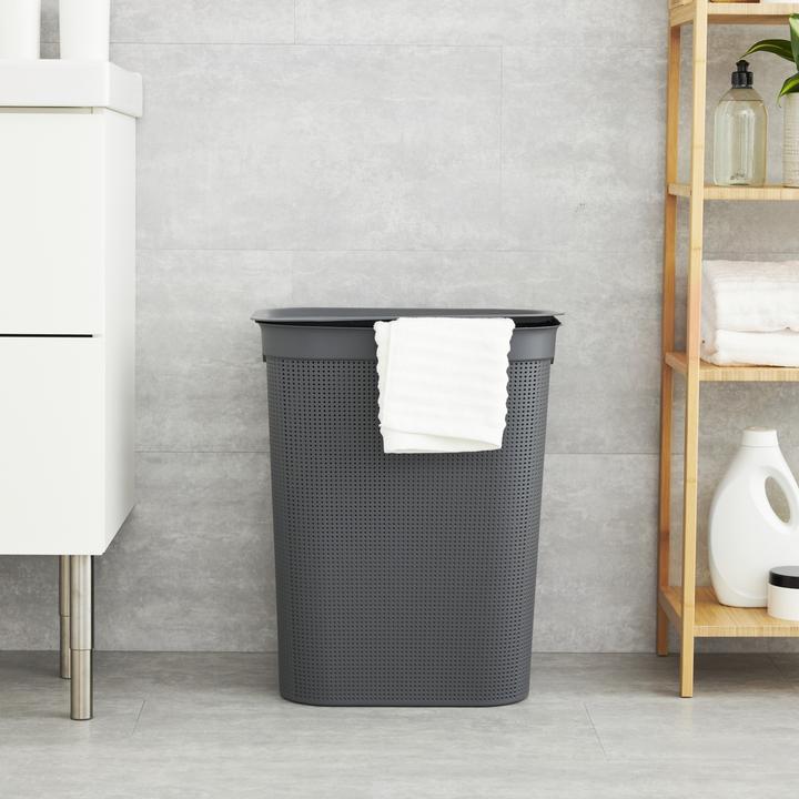 Immagine prodotto Rotho Brisen (50 l)