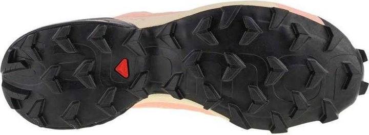 Produktbild Salmon Speedcross 5 Schuhe (41)