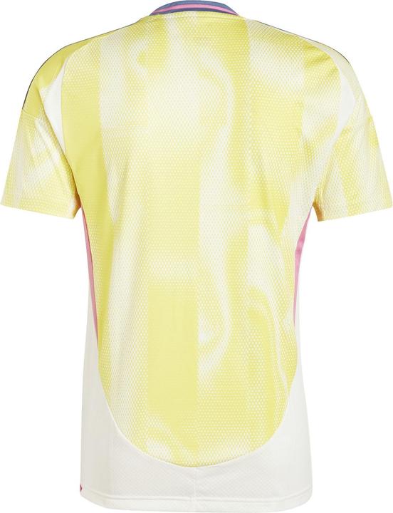 Image du produit adidas Juventus Turin Maillot Extérieur (L)
