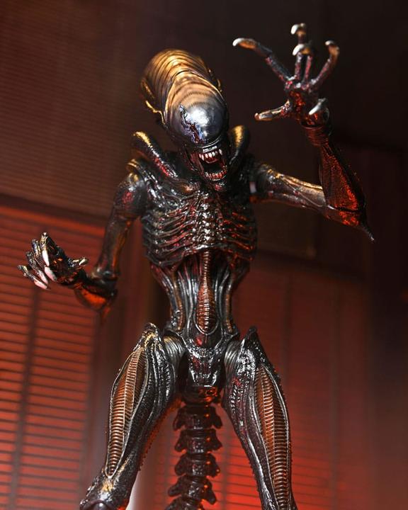 Actual product image Neca Alien: Romulus Ultimate Scorched Xenomorph