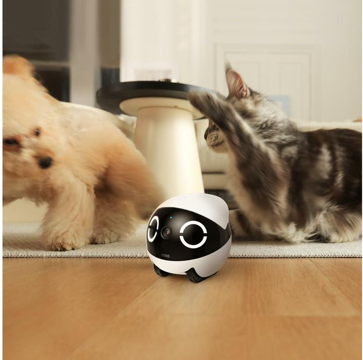 Produktbild Enabot Rola Mini Companion Robot (2304 x 1296 Pixels)