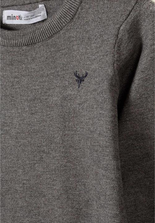 Image du produit Minoti - Pull motif/style brodé - Garçon (116)