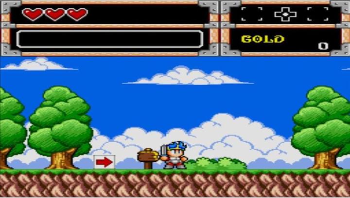 Produktbild ININ Games Wonder Boy Collection (Switch, Switch Lite, Switch OLED, DE)