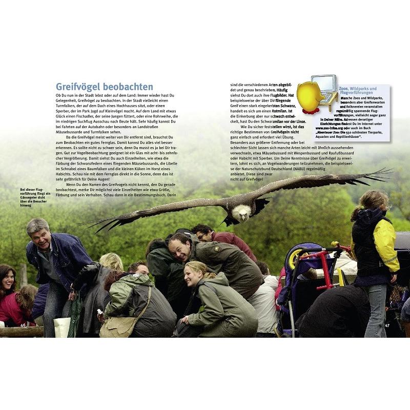 Thumbnail - Entdecke die Greifvögel, Kinderbücher von Thomas Schmidt