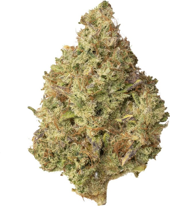 Produktbild Hi Lab Lemon Haze (100 g, Indoor)