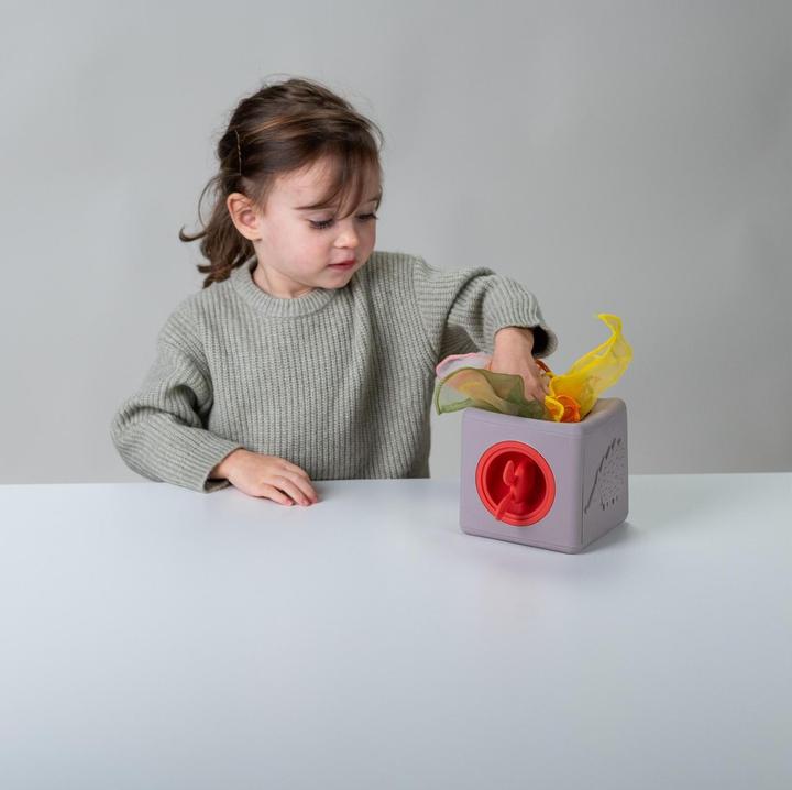 Actual product image Taf Toys Wipes box Pop Up