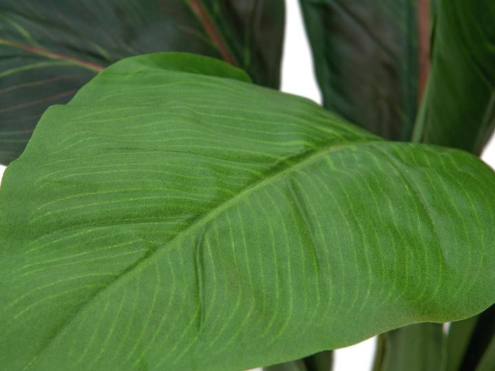 Produktbild Europalms Mangoldbusch, künstlich, 45cm