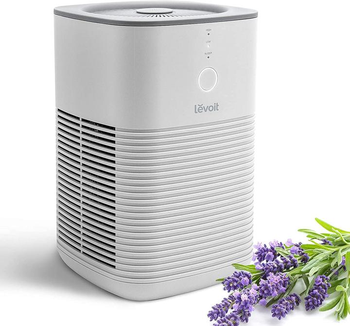 Actual product image Levoit LV-H128 for 15?