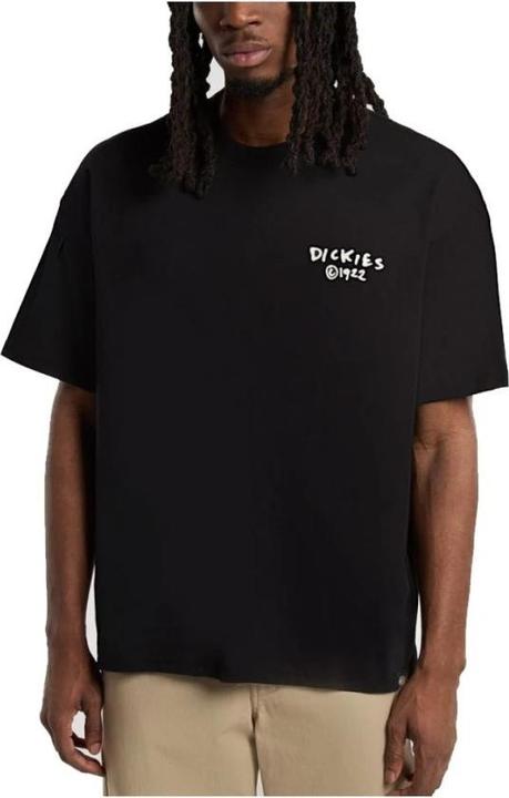 Produktbild Dickies Sneedville Tee SS (M)