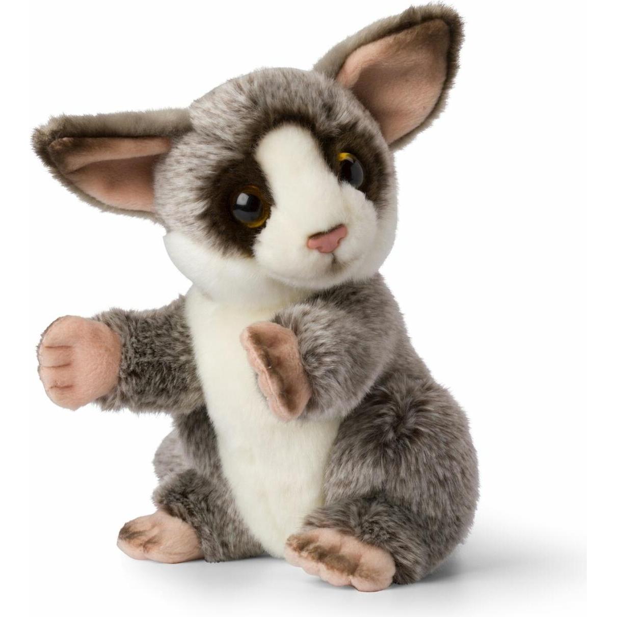 (廃盤品) bruce bush baby Bush Baby, Bush Baby: Garcia, Heidi, Strawbridge, John