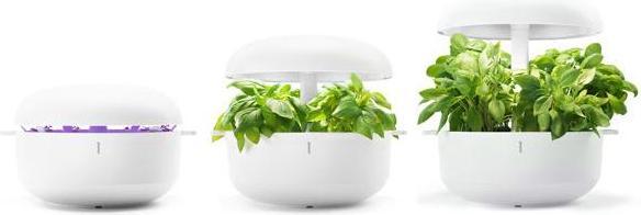 Produktbild Plantui Smart Garden (29 cm)