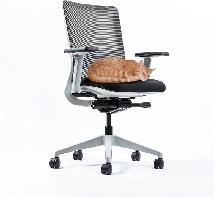 Image du produit Yaasa Chair Classic - Weiss