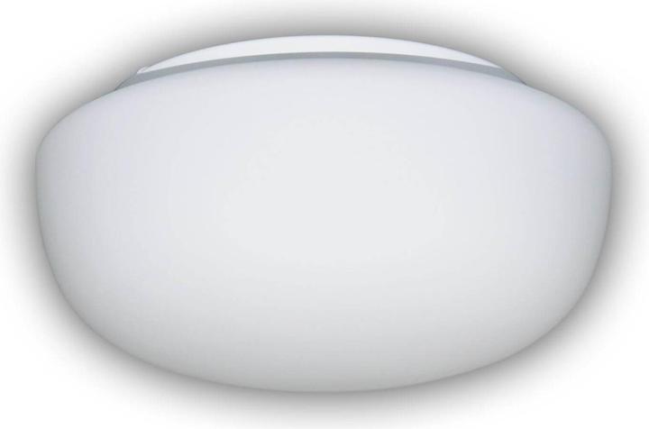 Actual product image Niermann Stand By Niermann glass, replacement glass opal matt, retro, 24cm, Made in EU