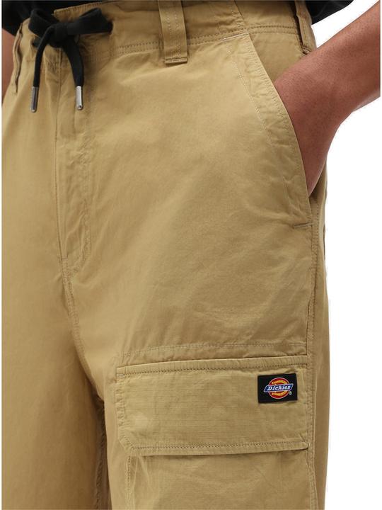 Actual product image Dickies Glyndon Pant (28)