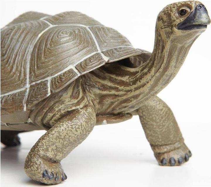 Produktbild Safari Ic Schildkröte