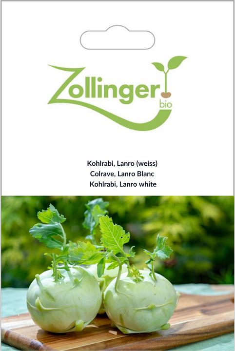 Image du produit Zollinger Bio Chou-rave, Lanro (blanc) (Germes)