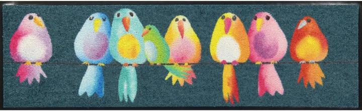 Salonloewe Rainbow Birds (30 x 100 cm)